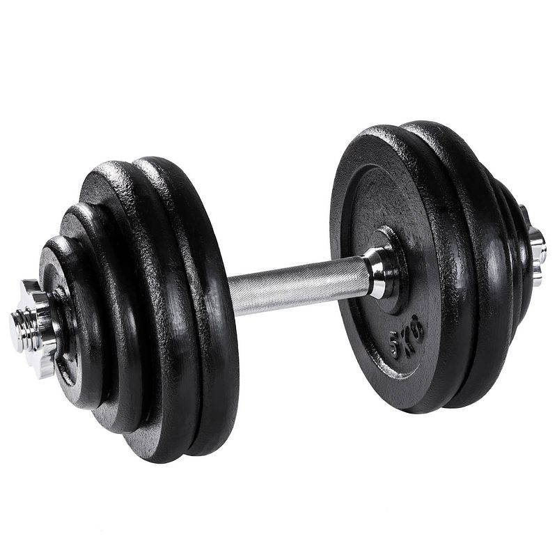 Foto van Tectake - dumbbell verchroomd 27,5 kg - 402367