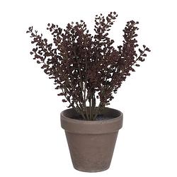 Foto van Mica decorations kunstplant astilbe 21 cm keramiek bordeaux