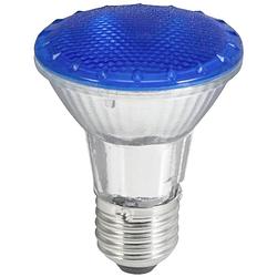 Foto van Omnilux 88021300 led-lamp e27 6 w blauw (ø x l) 63 mm x 83 mm 1 stuk(s)