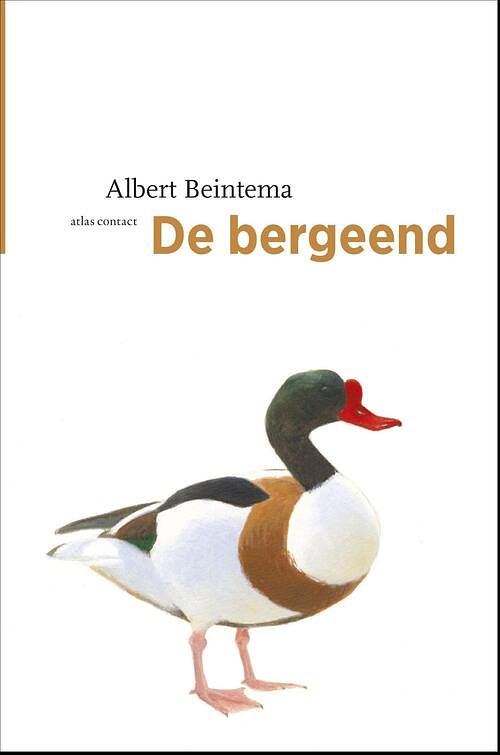 Foto van De bergeend - albert beintema - ebook (9789045039435)