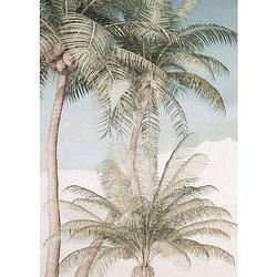 Foto van Komar palm oasis vlies fotobehang 200x280cm 2-banen