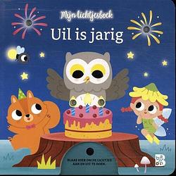 Foto van Uil is jarig - kartonboekje;kartonboekje (9789403233468)