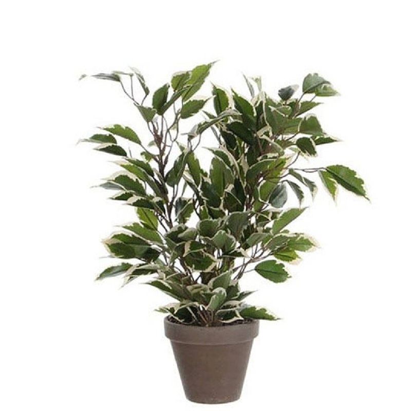 Foto van Groen/witte ficus kunstplant 40 cm voor binnen - kunstplanten/nepplanten/binnenplanten.