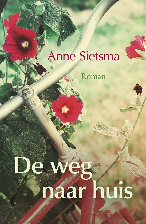 Foto van De weg naar huis - anne sietsma - ebook (9789401907255)