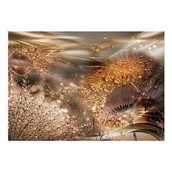Foto van Artgeist dandelions world gold vlies fotobehang 300x210cm 6-banen