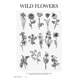 Foto van Grupo erik wild flowers poster 61x91,5cm