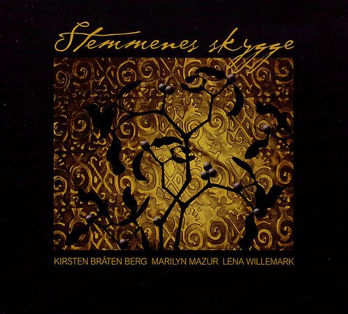 Foto van Stemmenes skygge - cd (7033662071852)