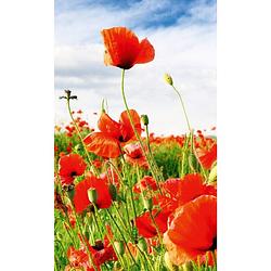 Foto van Dimex red poppies vlies fotobehang 150x250cm 2-banen