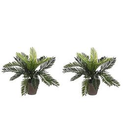 Foto van 2x groene cycaspalm kunstplanten 33 cm in pot - kunstplanten