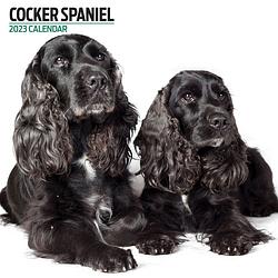 Foto van Engelse cocker spaniel kalender 2023 modern