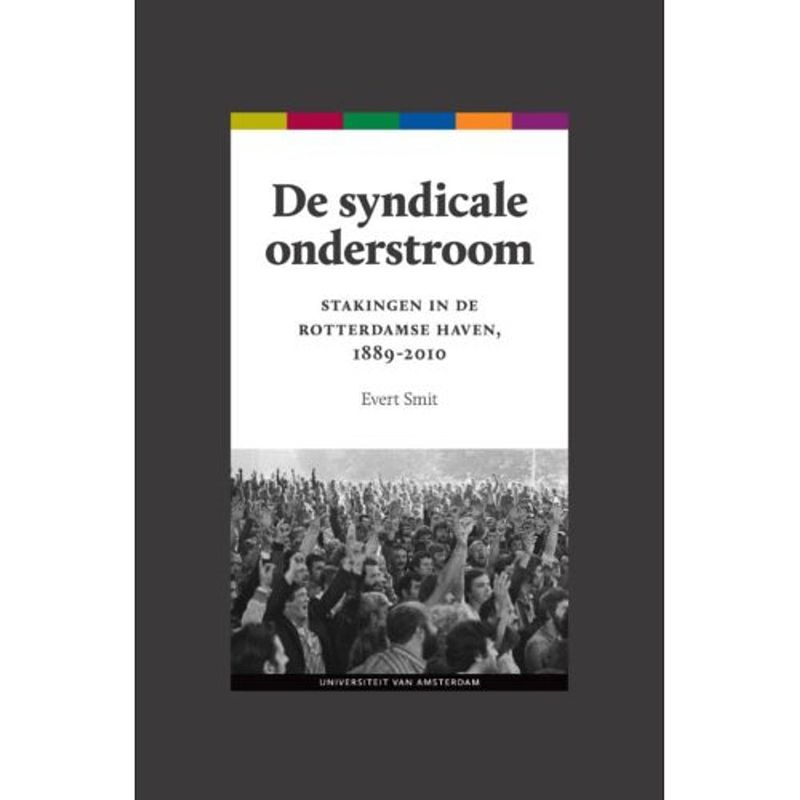 Foto van De syndicale onderstroom - proefschriften