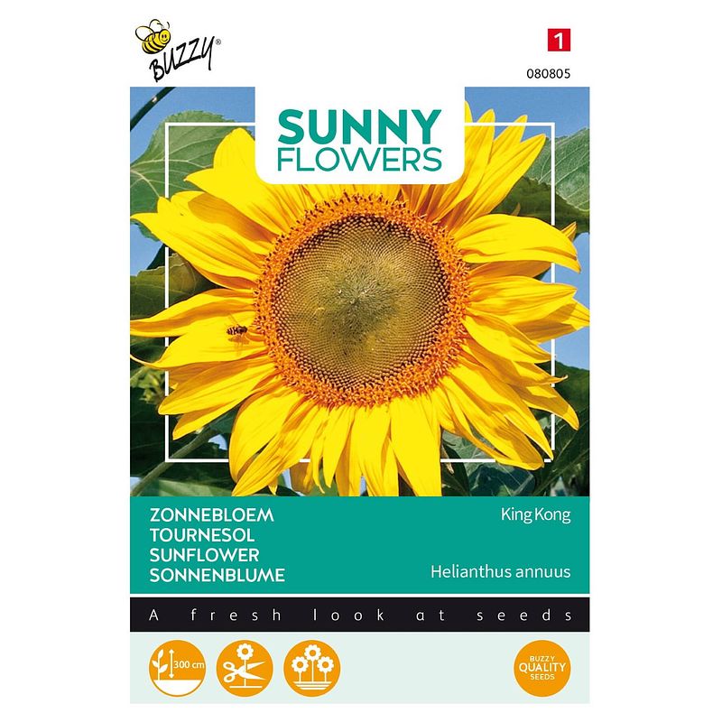 Foto van 3 stuks sunny flowers king kong