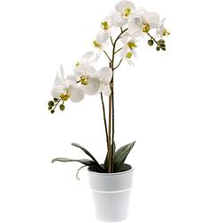 Foto van Witte orchidee kunstplant in kunststof pot 65 cm - kunstplanten
