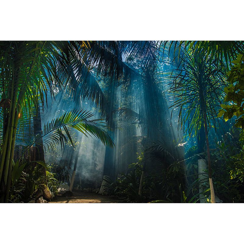 Foto van Inductiebeschermer - heldere jungle - 83x52 cm