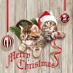 Foto van Ambiente kerst thema servetten - 40x- 33 x 33 cm - poezen/katten print - feestservetten