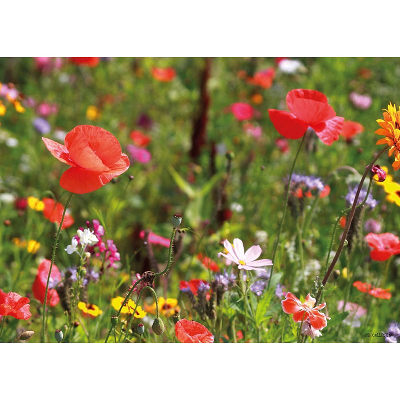 Foto van Tuinschilderij potpourri flowers 70x130cm