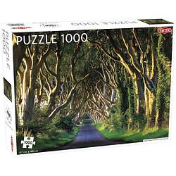 Foto van Tactic puzzel dark hedges in northern ireland 1000 stukjes