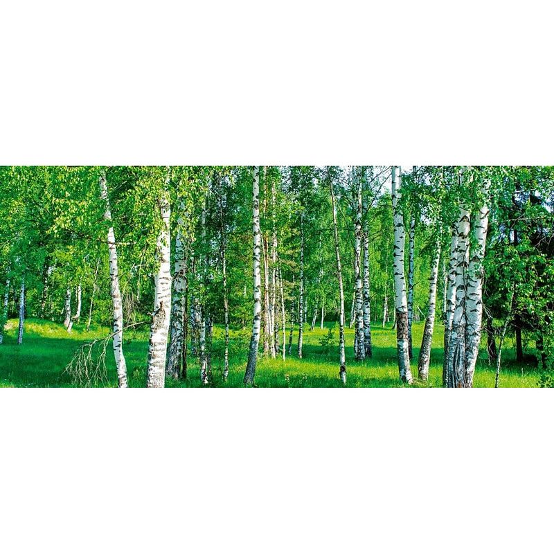 Foto van Dimex birch grow vlies fotobehang 375x150cm 2-delen