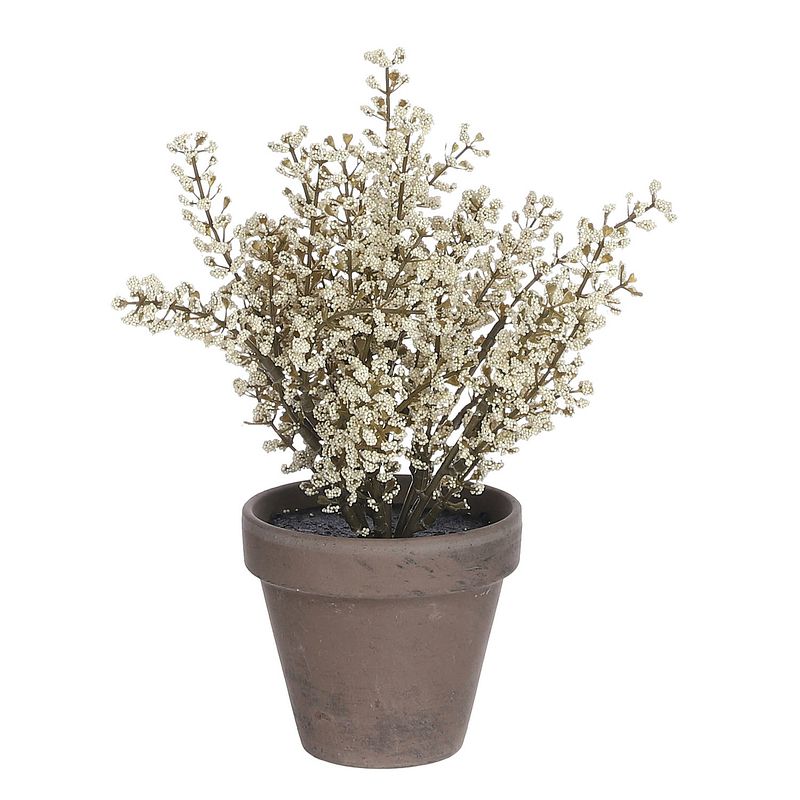 Foto van Mica decorations kunstplant astilbe 21 cm keramiek crème