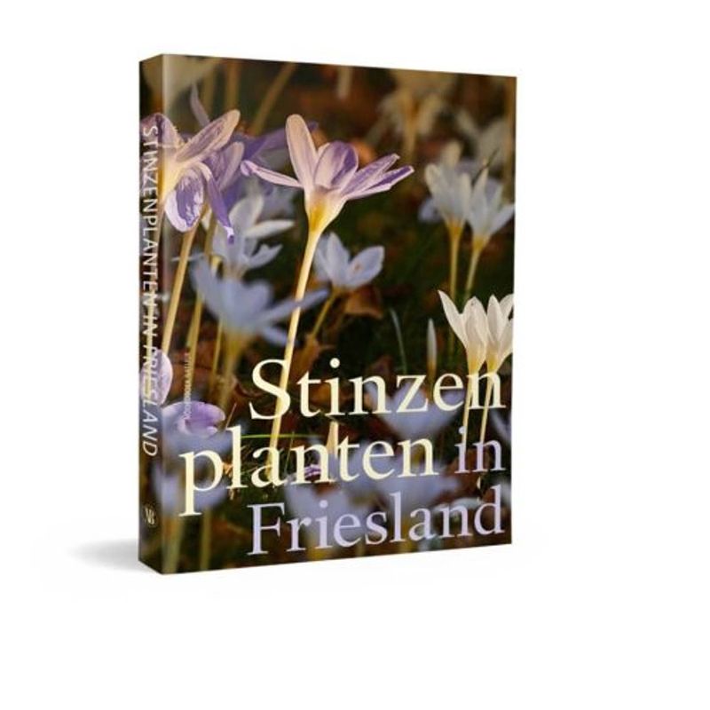 Foto van Stinzenplanten in fryslân