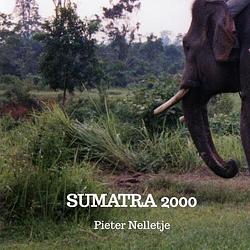 Foto van Sumatra 2000 - pieter nelletje - paperback (9789403702025)