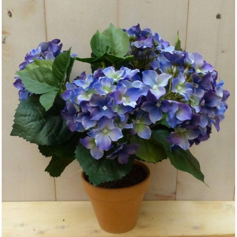 Foto van Warentuin mix - kunsthortensia blauw in pot 35 cm