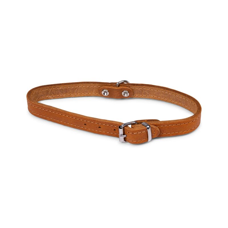 Foto van Dierenbenodigdheden vadigran halsband hond geolied leder cognac 42cmx16mm m