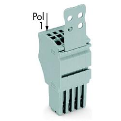 Foto van Wago 2020-104/133-000 connector, female 50 stuk(s)