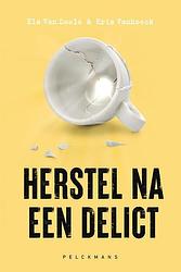 Foto van Herstel na een delict - paperback (9789463378222)