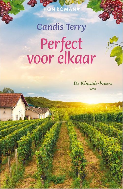 Foto van Perfect voor elkaar - candis terry - ebook