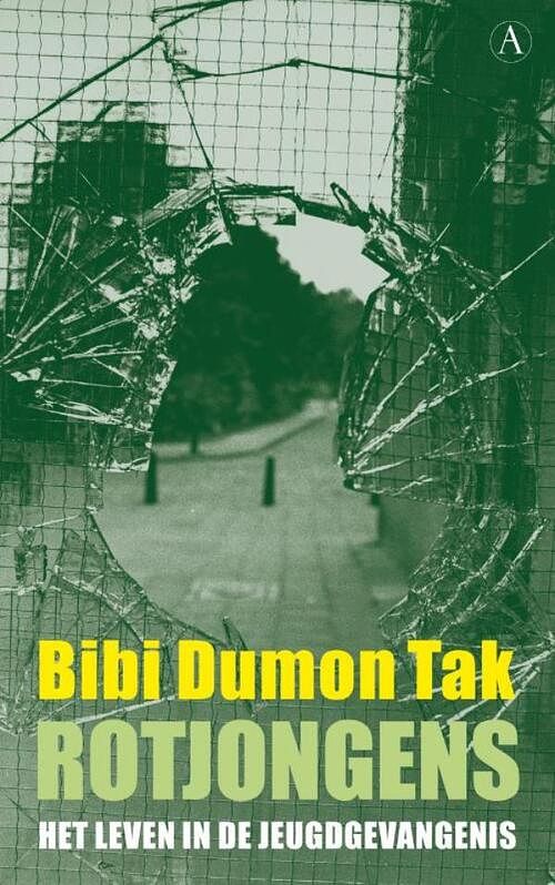 Foto van Rotjongens - bibi dumon tak - ebook (9789025364632)