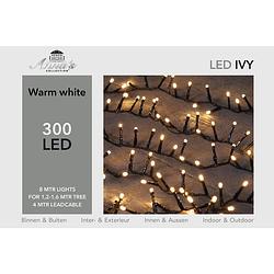 Foto van 2 stuks led ivy 300l/8m warmwit 4m aanloopsnoer zwart/ip44 anna'ss collection