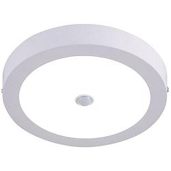 Foto van Led downlight - facto dury - pir bewegingssensor 360° + dag en nacht sensor - 24w - helder/koud wit 5700k - opbouw -