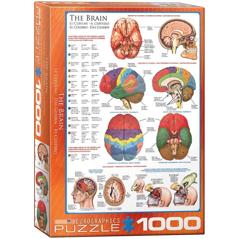 Foto van Eurographics puzzel the brain - 1000 stukjes