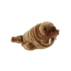 Foto van Pluche walrus knuffel van 30 cm - knuffel zeedieren