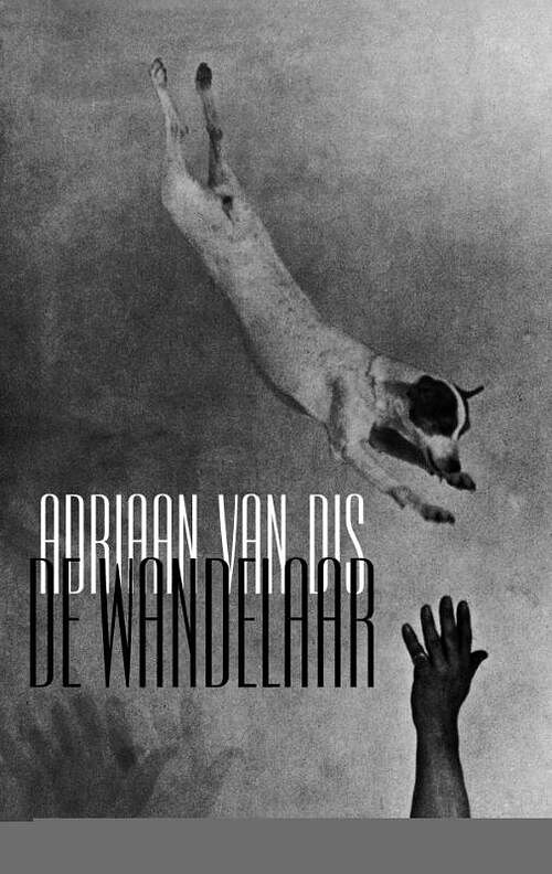 Foto van De wandelaar - adriaan van dis - ebook (9789045702384)