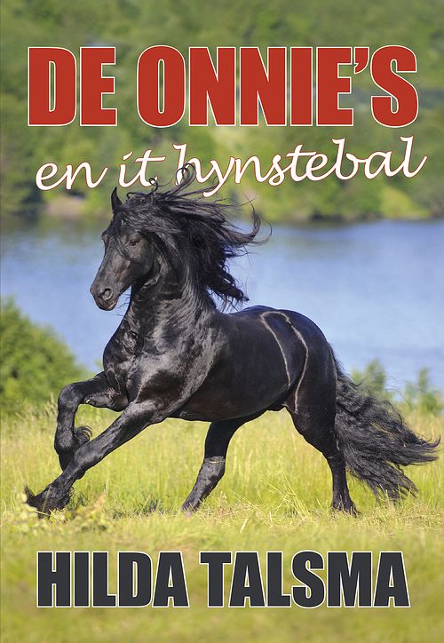 Foto van De onnie's en it hynstebal - hilda talsma - ebook