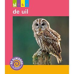 Foto van De uil - de kijkdoos