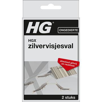 Foto van Hg x zilvervisjesval 2 stuks bij jumbo