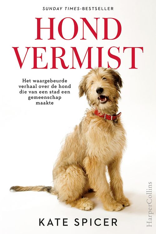 Foto van Hond vermist - kate spicer - ebook (9789402760194)