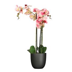 Foto van Orchidee kunstplant roze - 75 cm - inclusief bloempot titanium grijs glans - kunstplanten