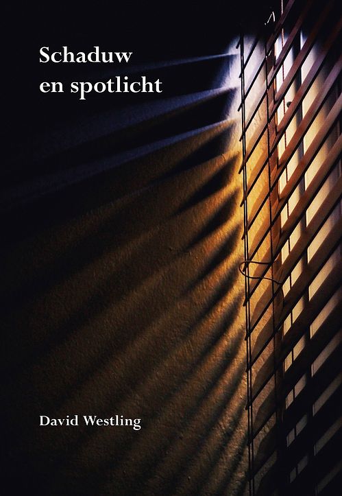 Foto van Schaduw en spotlicht - david westling - ebook