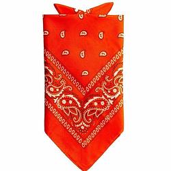 Foto van Traditionele bandana - oranje - 52 x 55 cm - verkleedhoofddeksels