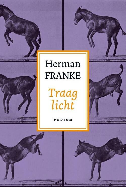 Foto van Traag licht - herman franke - ebook (9789057594786)