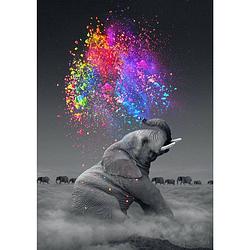 Foto van Rubye diamond painting volwassenen & kinderen - kleurrijke olifant - 30x40cm