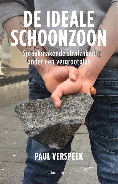 Foto van De ideale schoonzoon - paul verspeek - ebook (9789045048567)