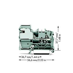 Foto van Wago 2002-7111 potentiaalklem 5.20 mm spanveer grijs 50 stuk(s)