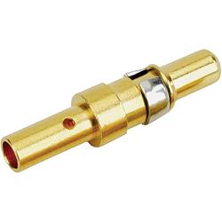 Foto van Conec 131c11019x hoogvermogen stiftcontact awg (min.): 20 awg (max.): 16 goud op nikkel 10 a 1 stuk(s)