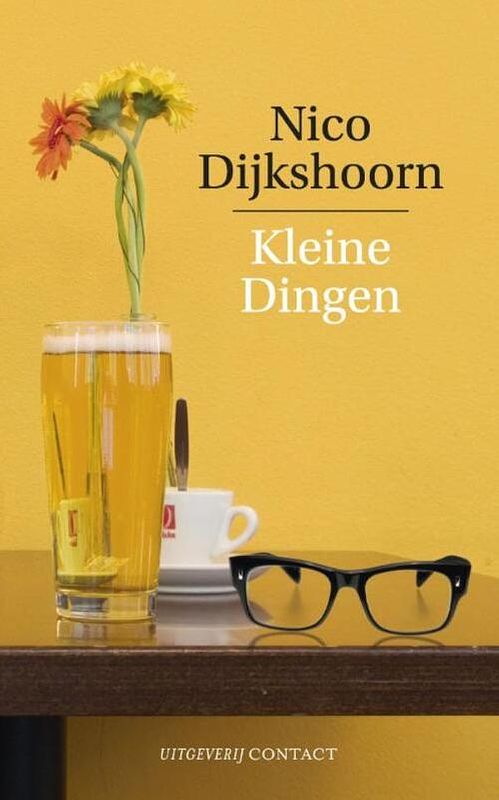 Foto van Kleine dingen - nico dijkshoorn - ebook (9789025436919)