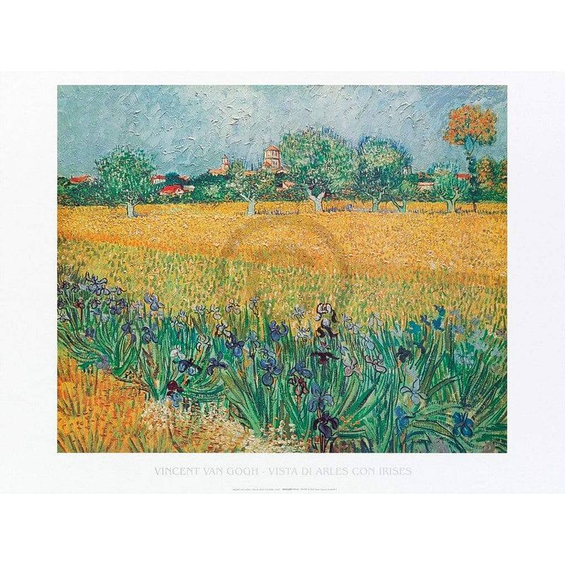 Foto van Vincent van gogh - vista di arles con irises kunstdruk 80x60cm